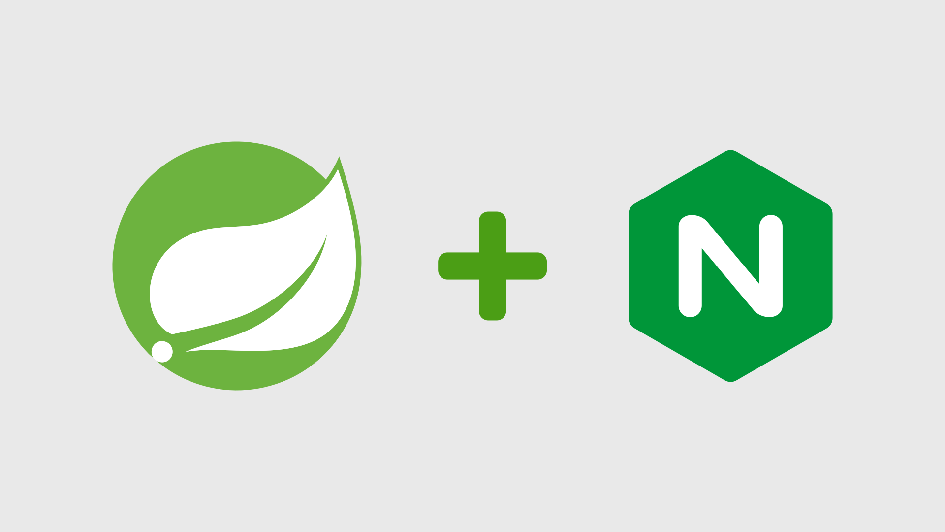 spring-boot-with-nginx-hextechie